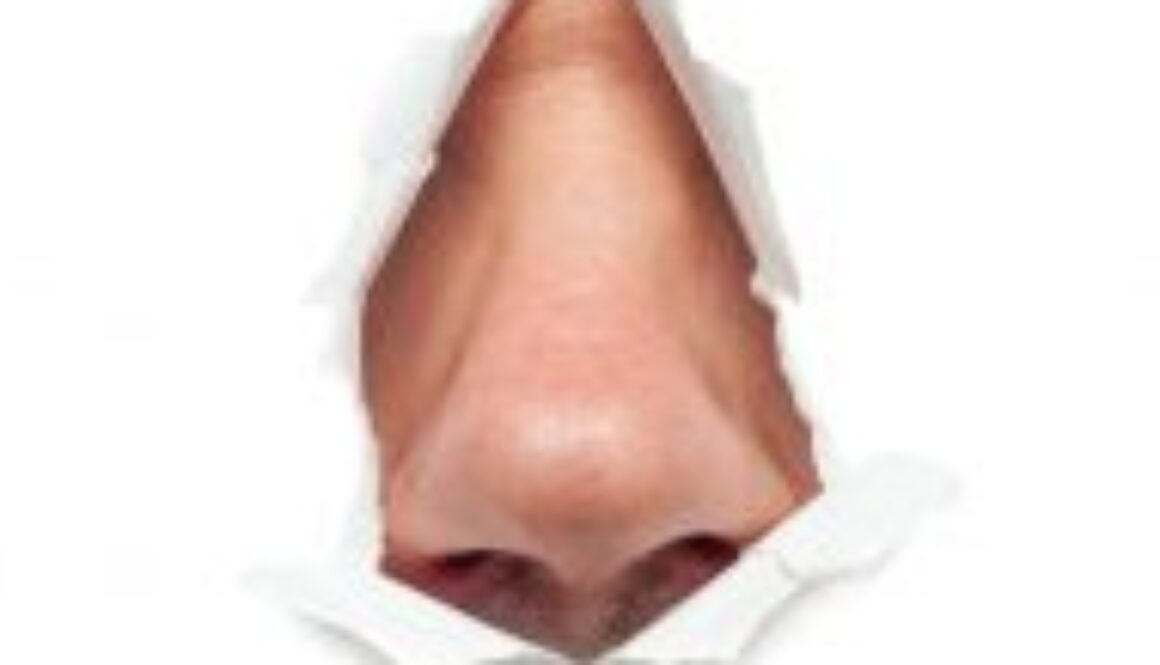 SinusCourse_2023
